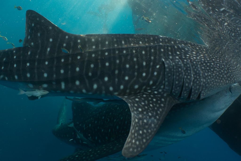 6fb1fb0f-6e1f-4cfa-977d-86e10c4baaf4