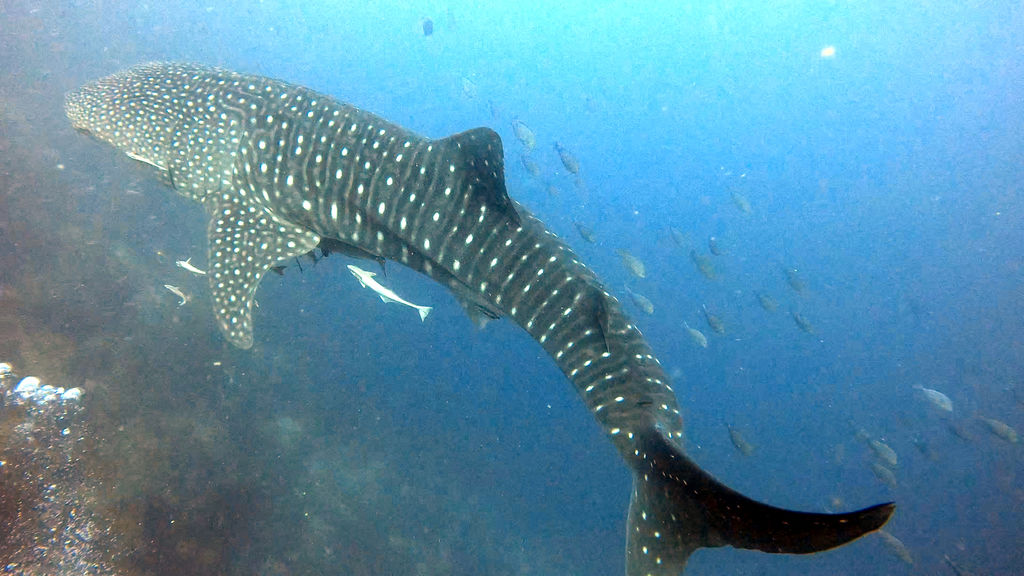 28801888-c8e2-4dc9-8cb2-ce2a1081da39