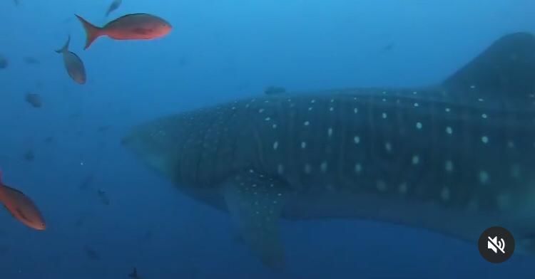 70d1093e-1819-42a6-ae9c-011f33f46095