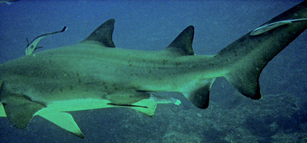 56de2c74-6b9c-4bd2-8567-92452c6167fe