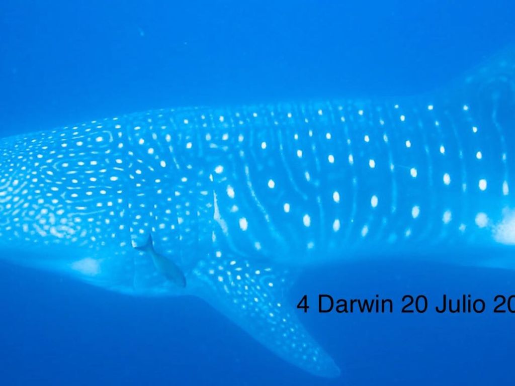 71f3b2e6-9703-43d8-b790-ccd21cc9b87c