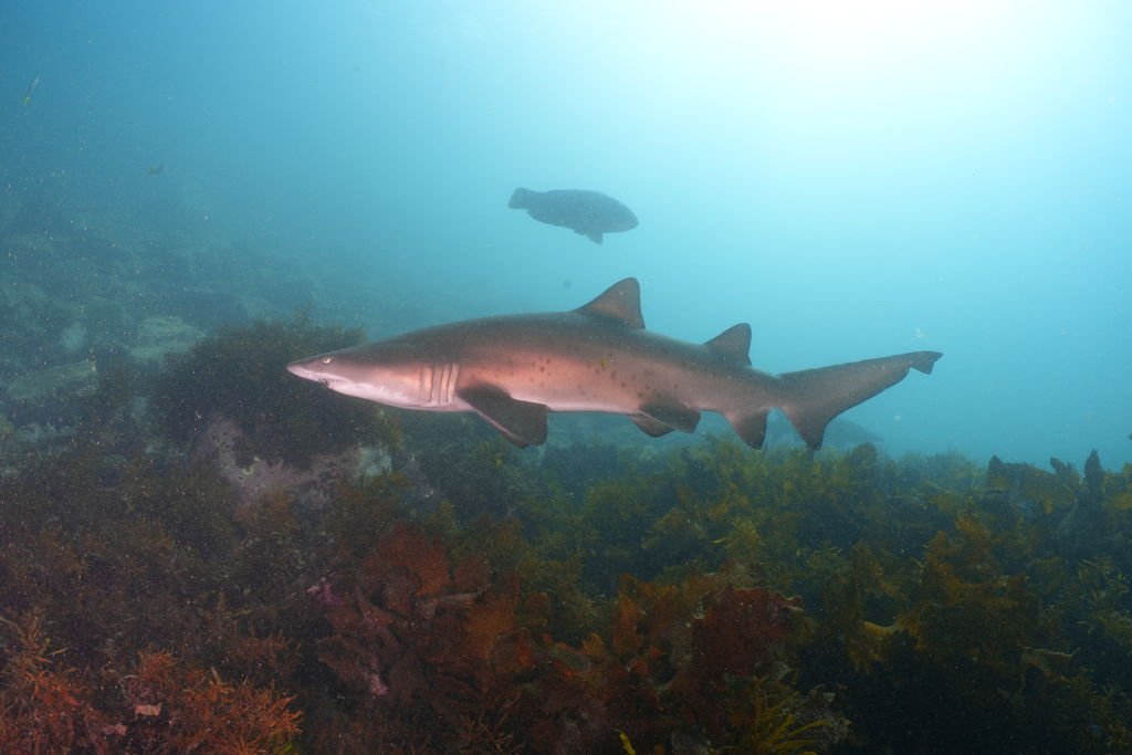 03ca343b-9765-4a58-ab5e-8ab14fdcf714