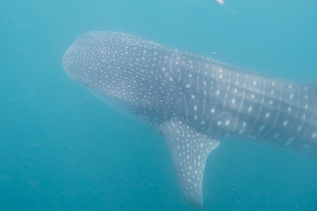 7a692703-f84f-4c0f-b16a-3082f82ce8d5