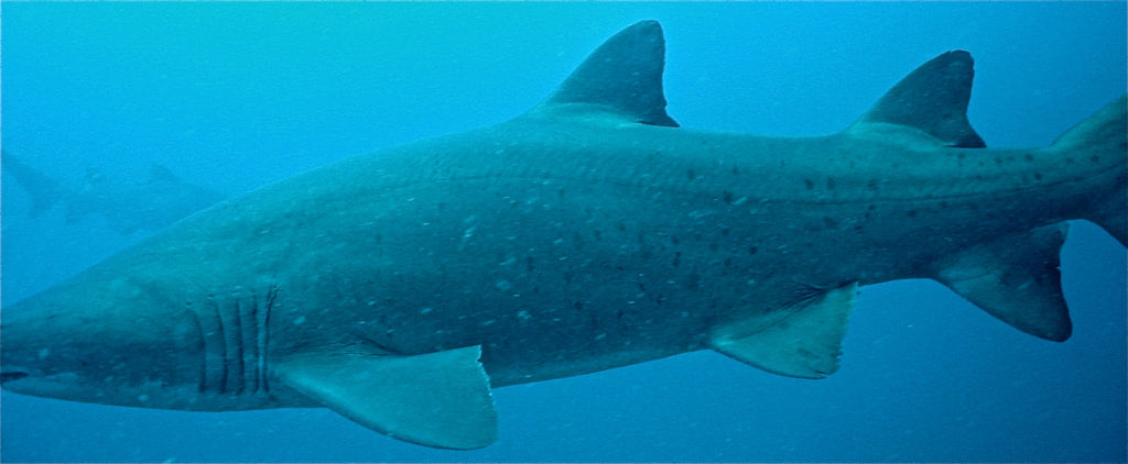 b4649ce5-eb84-4467-8b29-82f02ea7b109