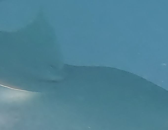 3efbed31-b57c-4ebf-be5f-60a729219c36