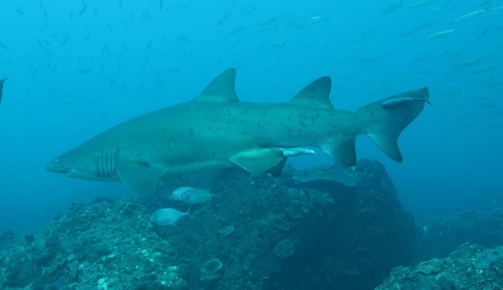 cfd169ad-17b8-411d-ad6e-b07ffbbf2954