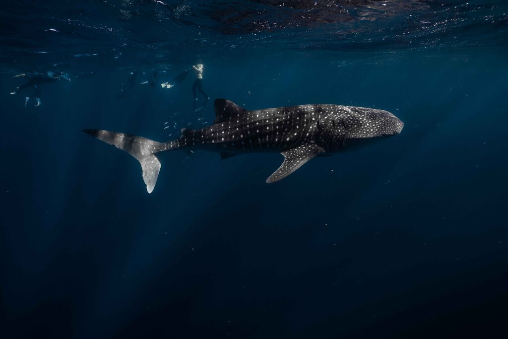 a08af40d-cacd-40da-9d53-34f6974b9309