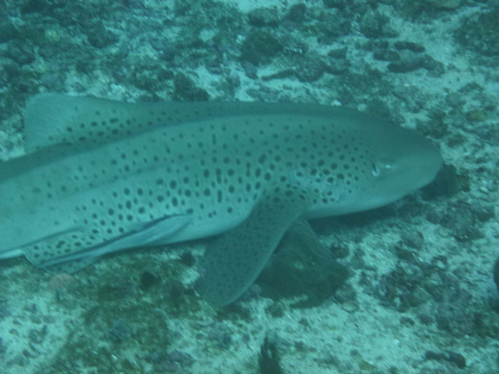 49b577f9-1305-4d82-ae41-f269152f7f39