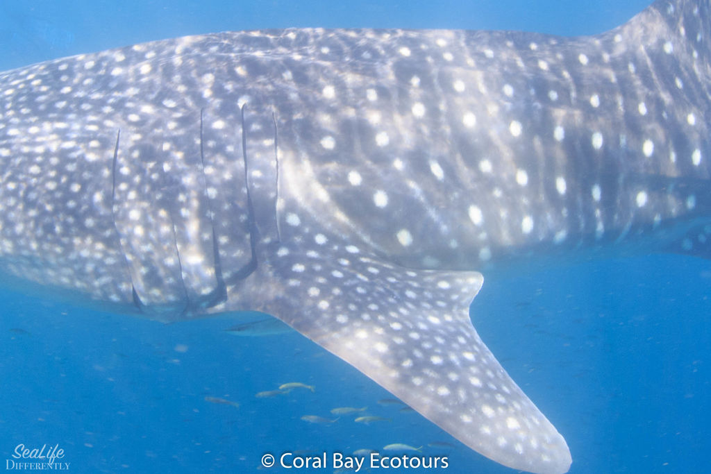 3fa9a066-4f60-442e-b415-fa36b5a56cb3