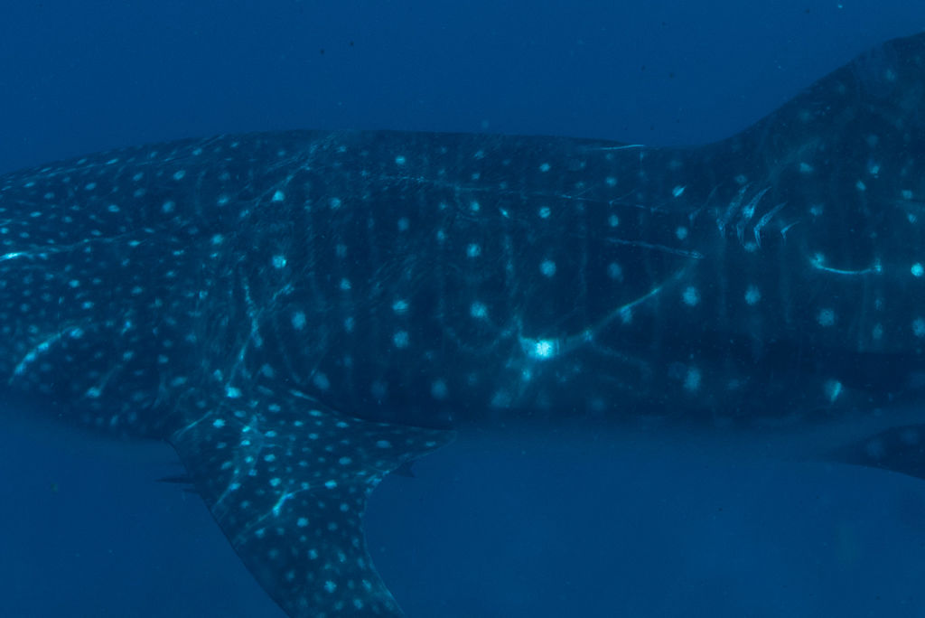 3bdc2afa-4006-49de-b3f7-ed024bdccbc0