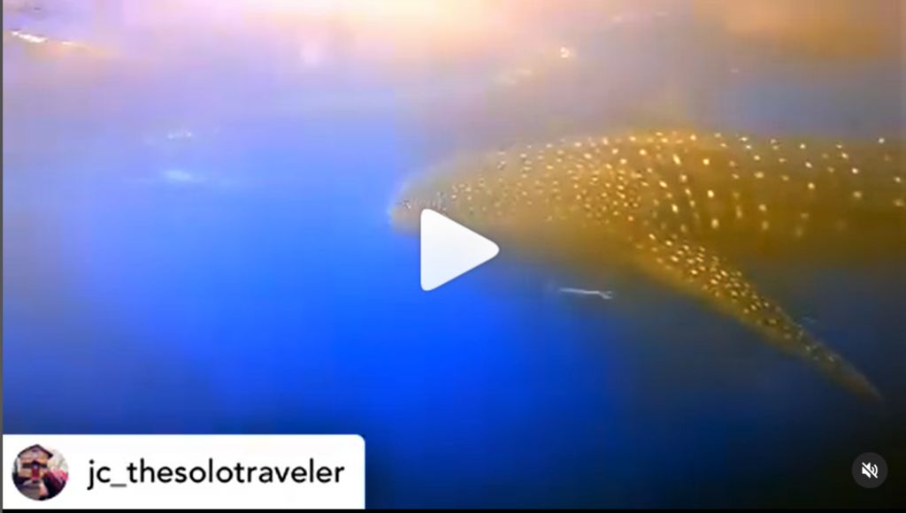 16aeb1a0-37bc-4610-b204-1aa070f6487f