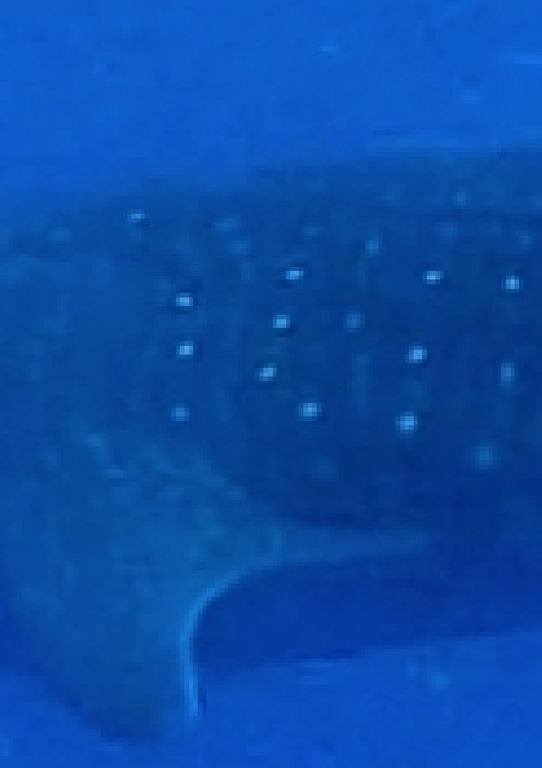 f84ebae1-5fcb-4040-86c4-079a9c1c36d8