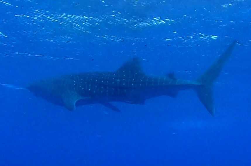 f84ebae1-5fcb-4040-86c4-079a9c1c36d8