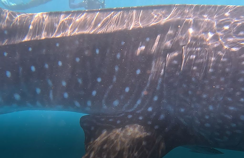 c4abd894-e812-4c24-9bf0-9cea26b0f984