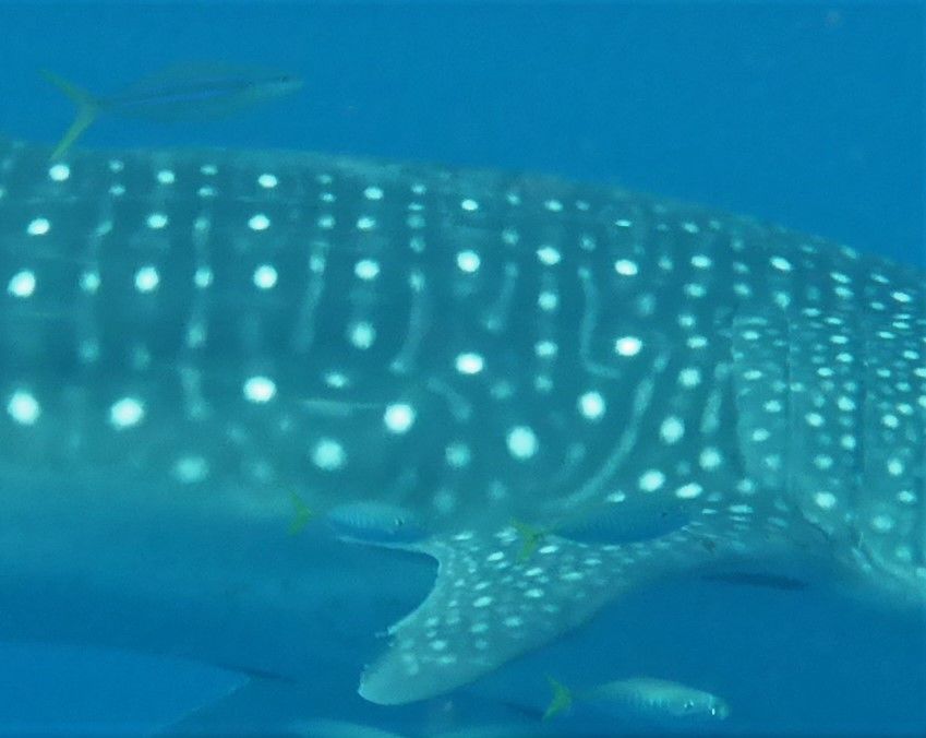 d45b8fd6-caef-4a39-8bcd-15687b199bf0