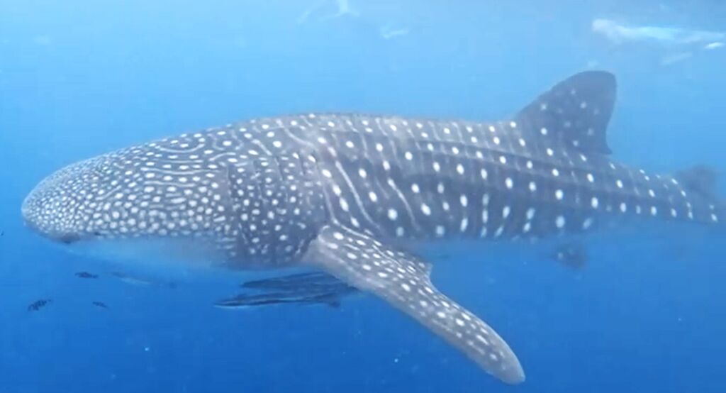 01d7a6b8-1c16-41d8-a33d-25c75e1ab53b