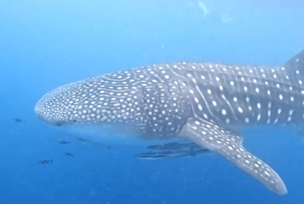 01d7a6b8-1c16-41d8-a33d-25c75e1ab53b