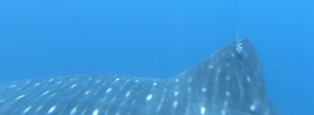 c7567d39-896e-44ec-9192-af699d5b2580