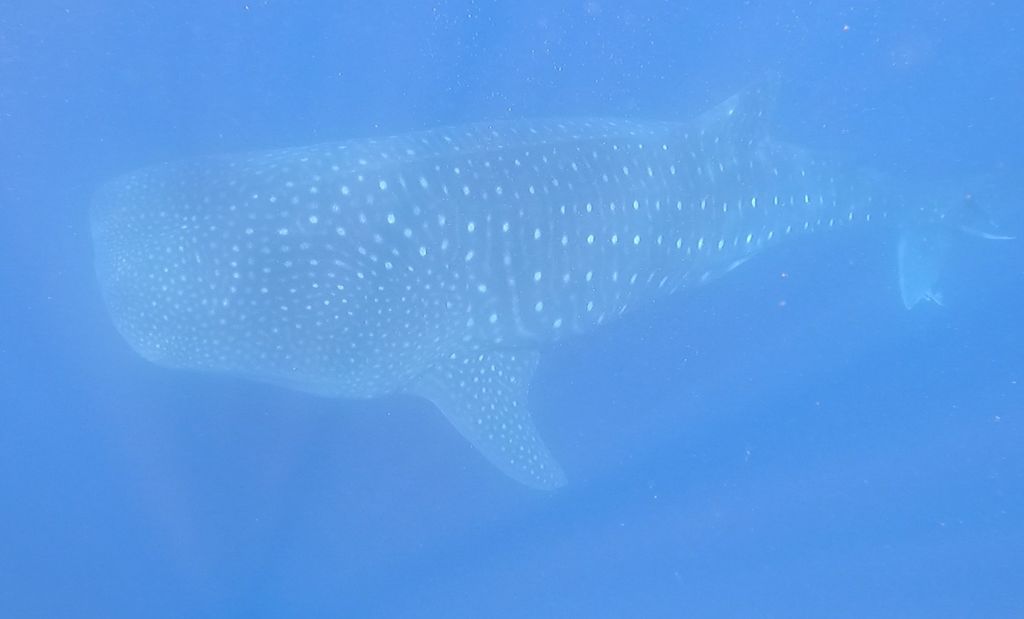 c7567d39-896e-44ec-9192-af699d5b2580