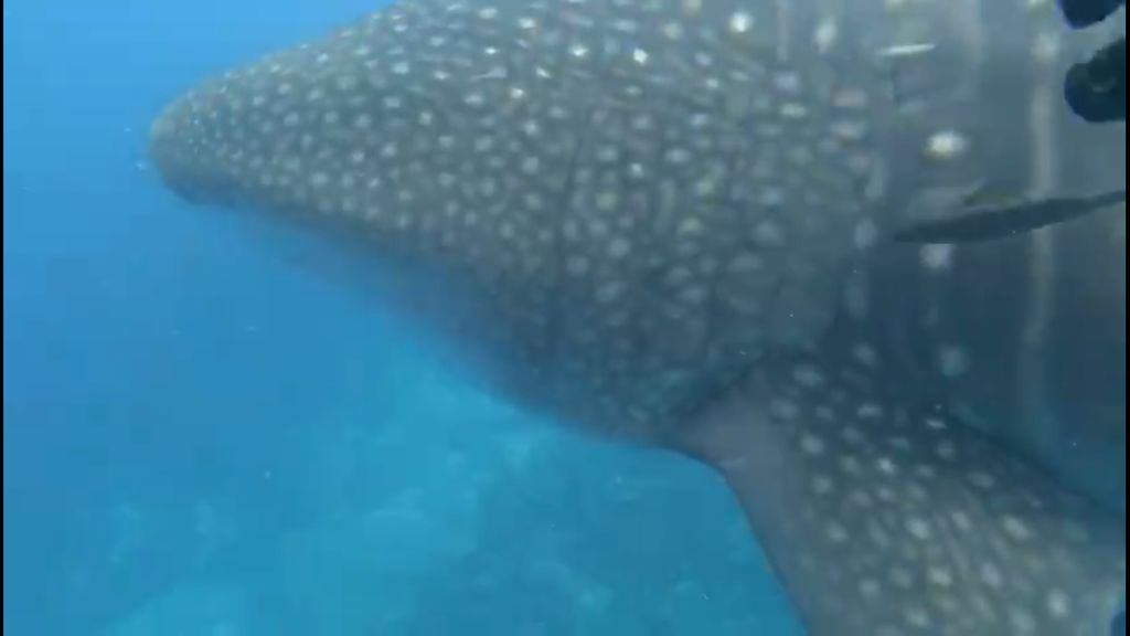 91bce728-6614-408d-af4a-1ba83c39742c