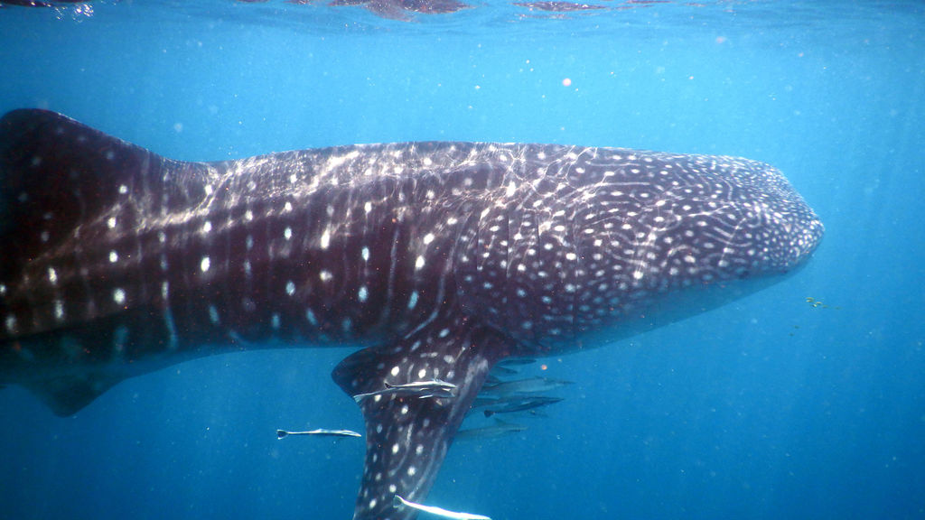 b389ccc2-e3e3-44a8-9175-783358bf7c19