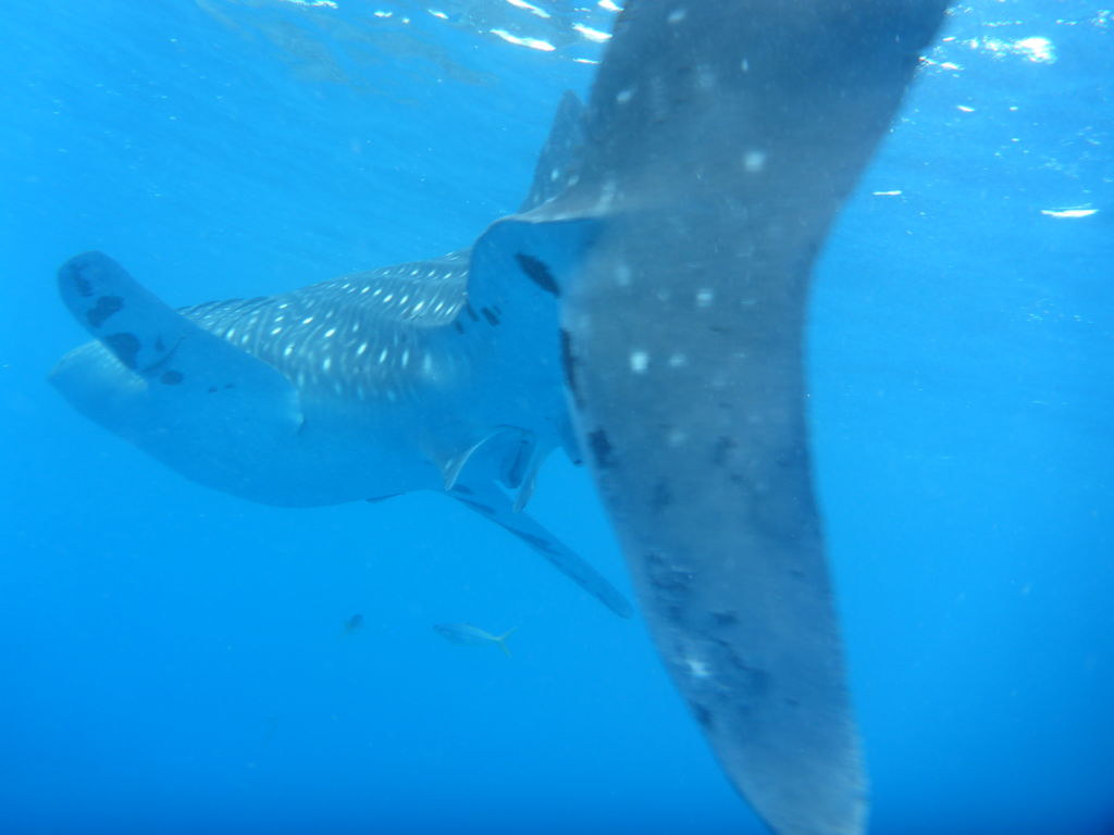 296d9af0-cb12-40c3-bc0f-903bdc877a07