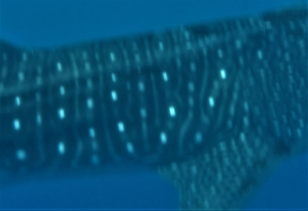 296d9af0-cb12-40c3-bc0f-903bdc877a07