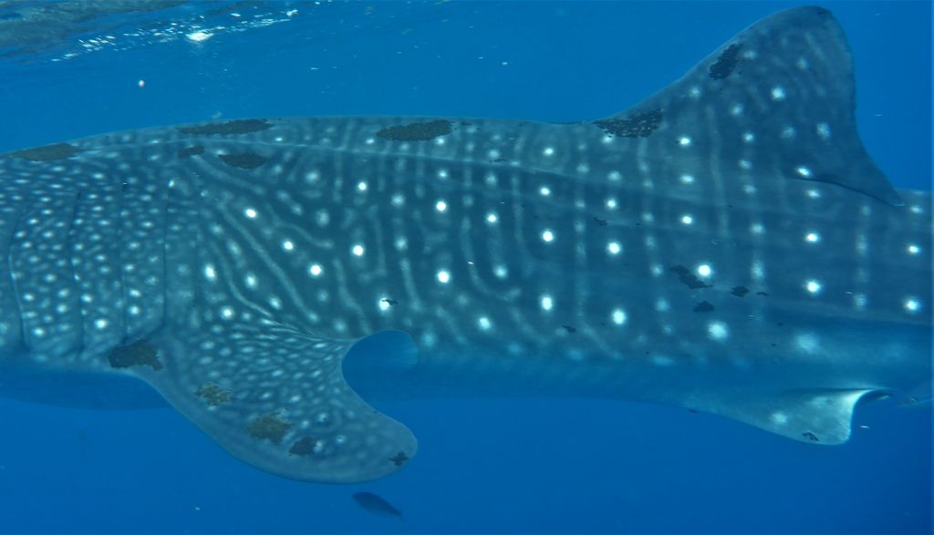 296d9af0-cb12-40c3-bc0f-903bdc877a07