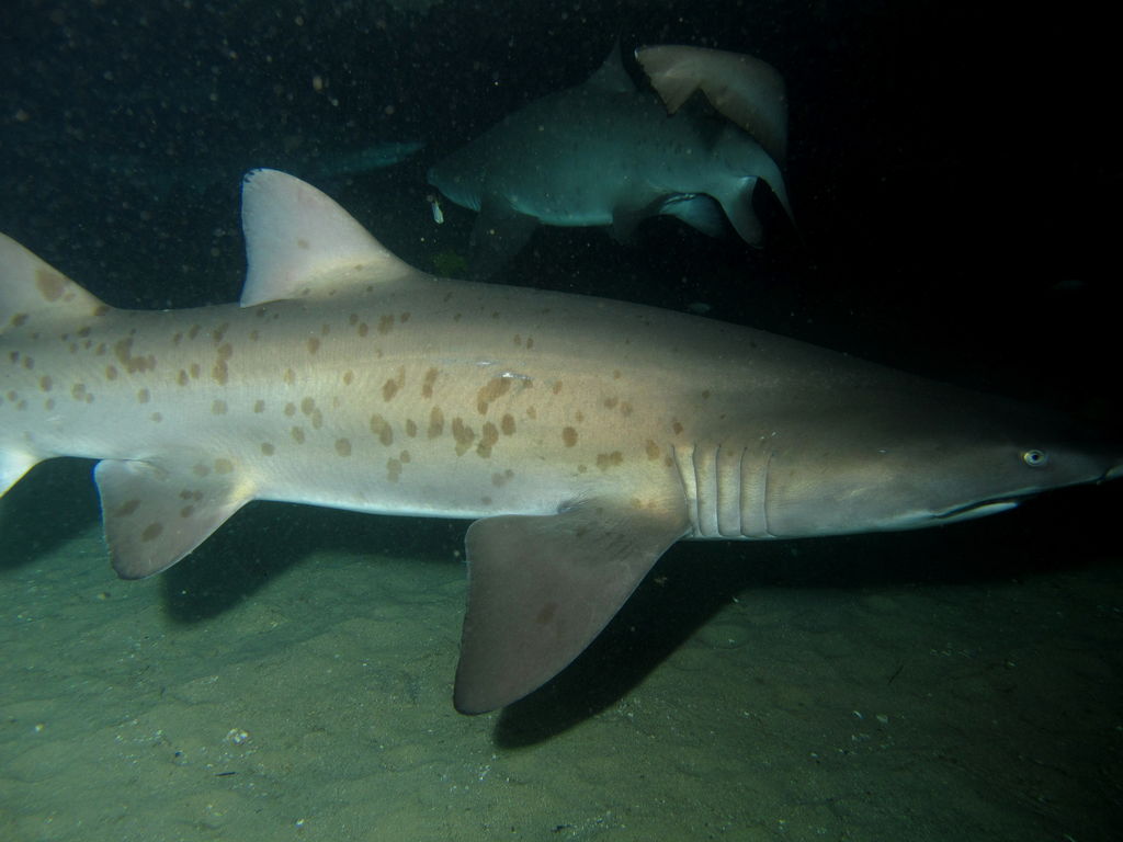 a74cda08-2141-45ef-a0ba-e04780794d7e