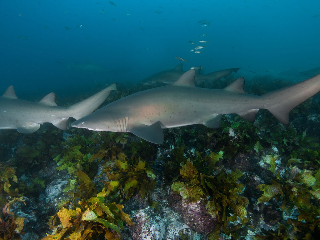 2750fe7f-ea21-4ec2-b68a-300459d87b1e