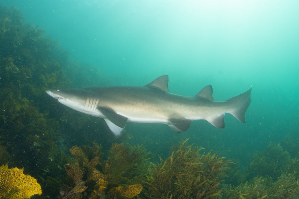 1bfccfbe-b46c-4ae7-a50b-4b15747b076c