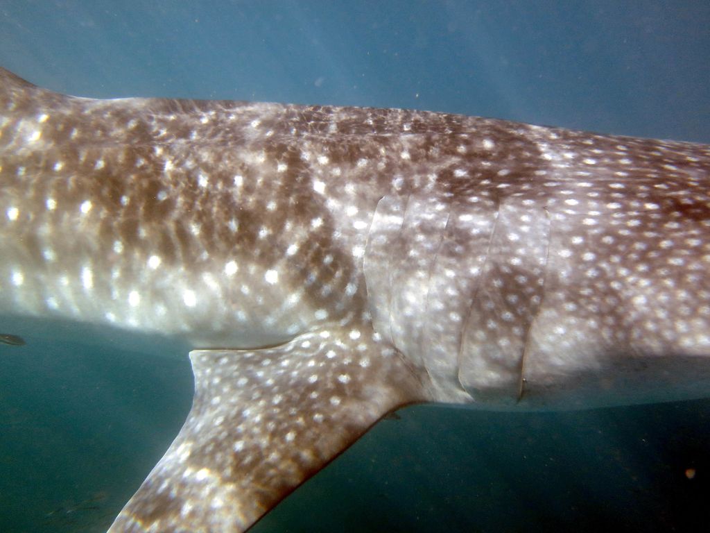 78d0af4e-7da3-4841-9776-1707f458b444