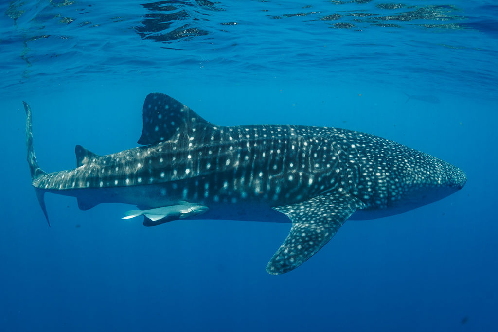 2307868c-6d50-48b6-95ee-a0a876fe81f7