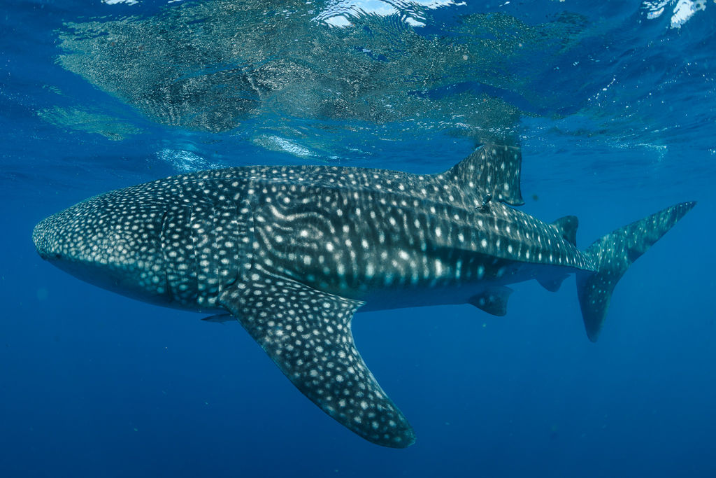 2307868c-6d50-48b6-95ee-a0a876fe81f7