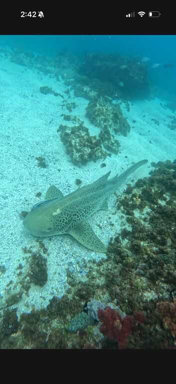 e1aef6cb-d23c-4f57-8cd7-3a56fa6e9dd8