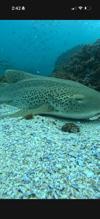 e1aef6cb-d23c-4f57-8cd7-3a56fa6e9dd8