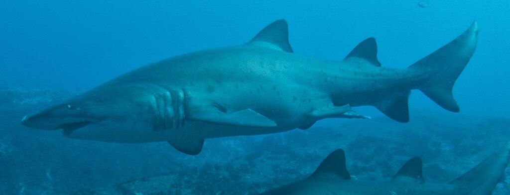 90e81e18-97c9-4f14-a13a-de04bf0592e6