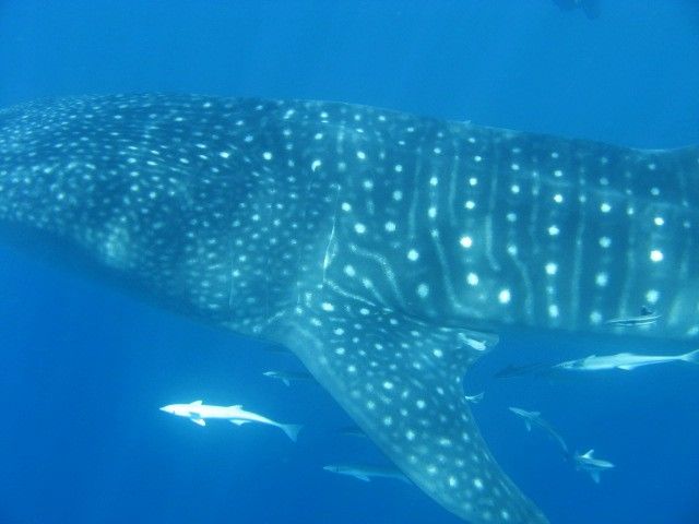 c9de4786-38ba-4d2c-81b0-a425270794f6