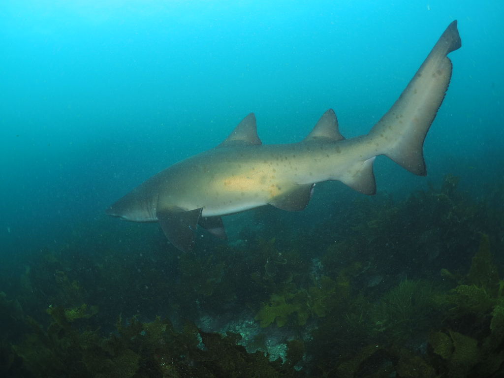 b1299b1c-9b0e-4a8f-9931-b3862854625d