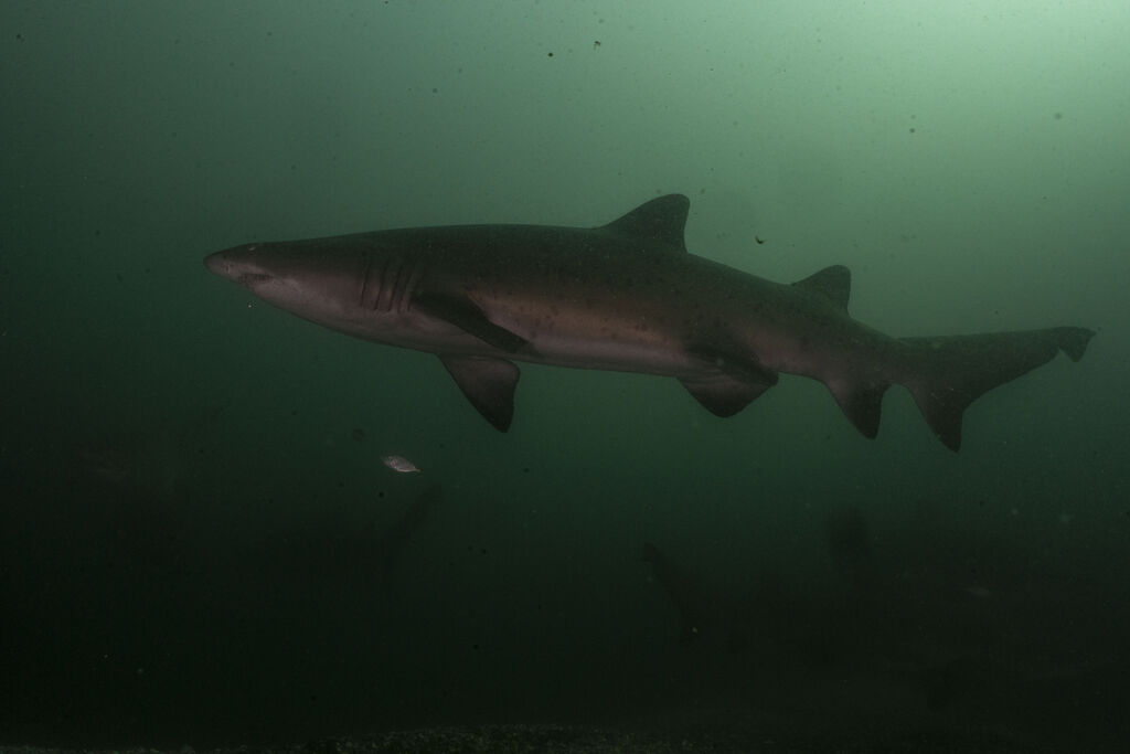 b51059b0-57ac-4fe4-87e6-0d5ab44670e4