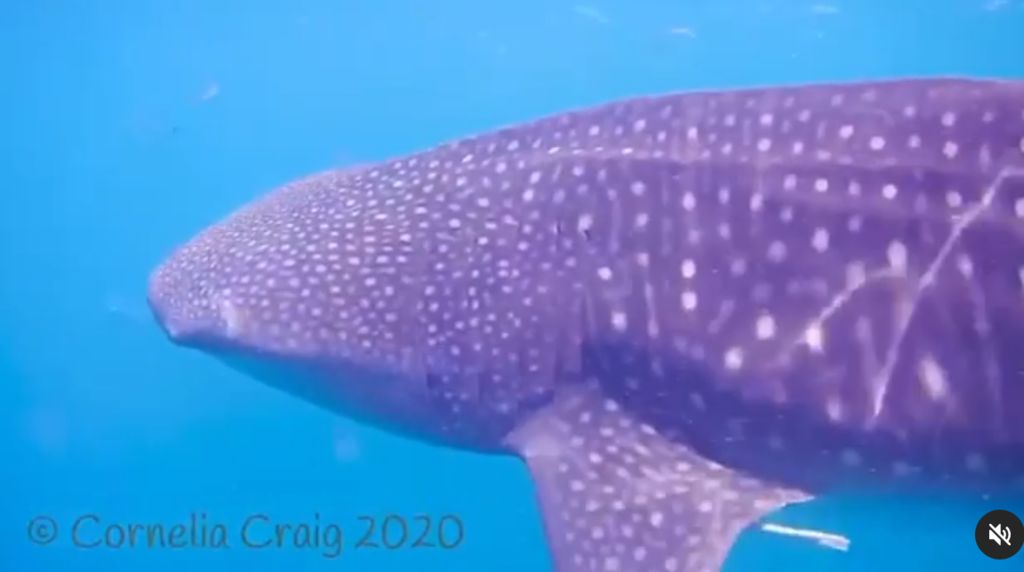 b3bbc147-08fd-463a-b1ef-55a9d3acaa88