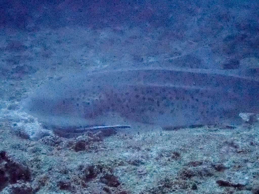 2b6bfee0-85a7-413b-bb78-6aea37af8d95