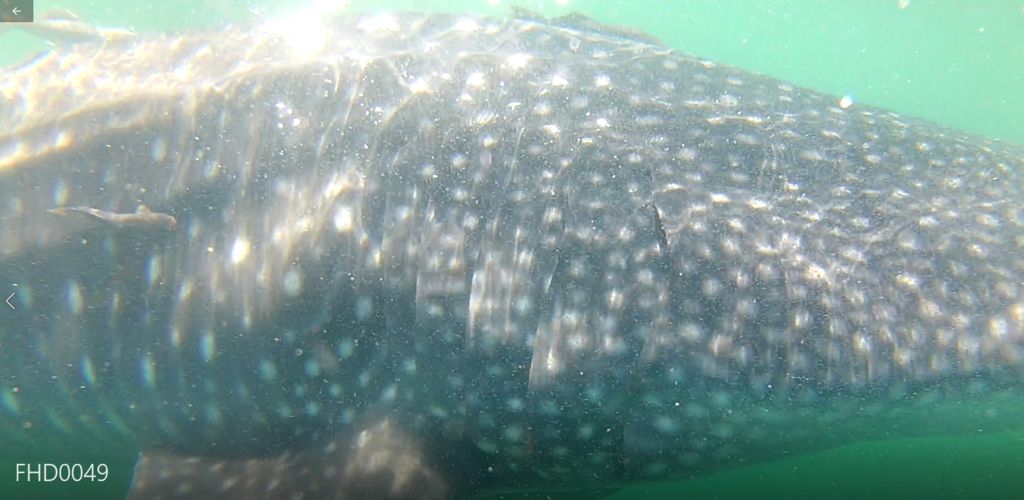 3535ba3d-2e60-46b5-a3c9-faad6ab38b31