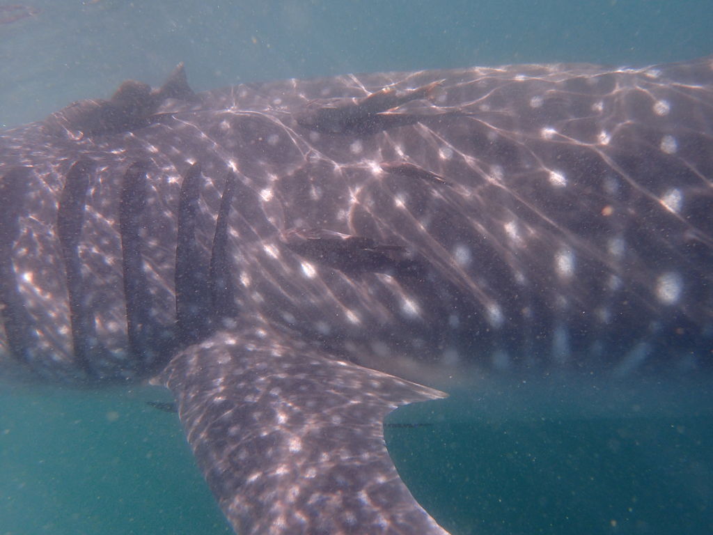 3535ba3d-2e60-46b5-a3c9-faad6ab38b31