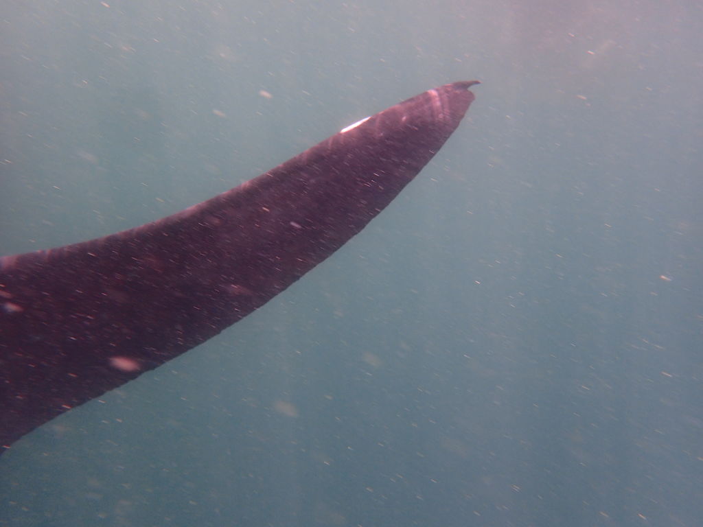 3535ba3d-2e60-46b5-a3c9-faad6ab38b31