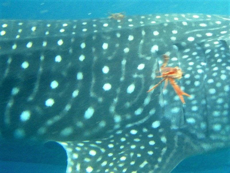 99c8f309-6dcd-4452-ac2d-603ea232525c