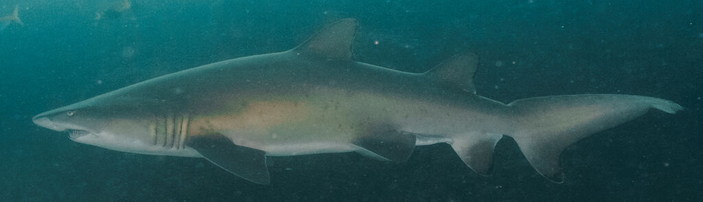 f36d3dea-86c0-4aa6-9f84-6ef9bbf5634f