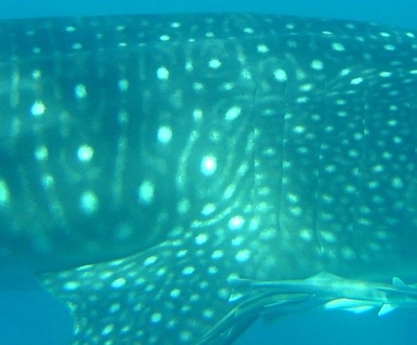 5c4cd31d-9a3e-407b-b9bd-e3de7b2bc524