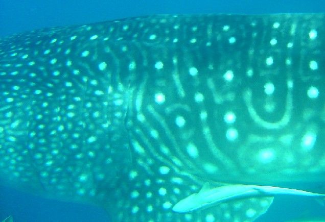 5c4cd31d-9a3e-407b-b9bd-e3de7b2bc524