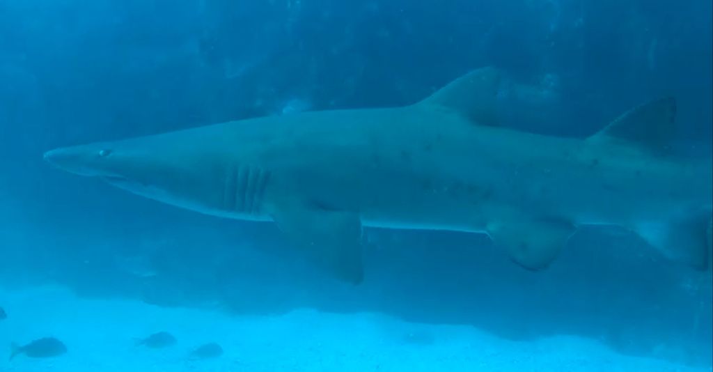 2083e0cf-7d45-419d-889f-55326a255065